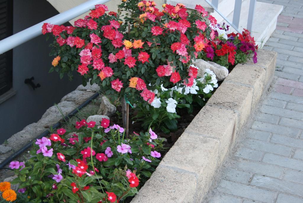 Baia Dei Canonici Aparthotel Villaggio Le Rocelle Exterior foto